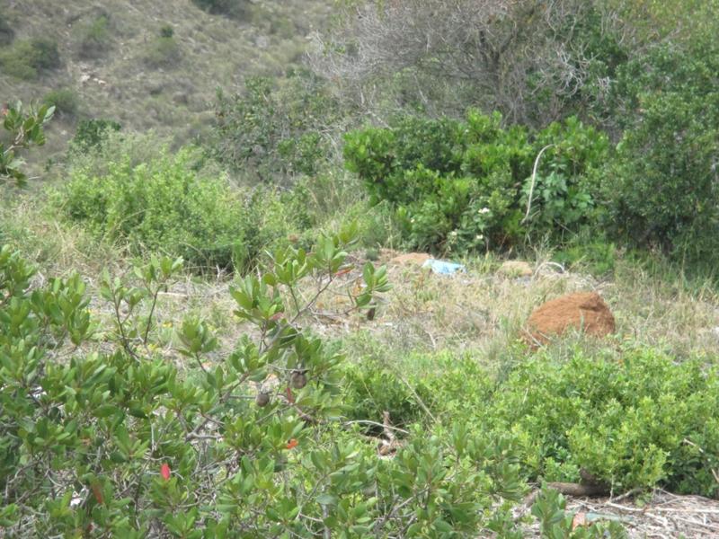 0 Bedroom Property for Sale in Mossel Bay Ext 26 Western Cape